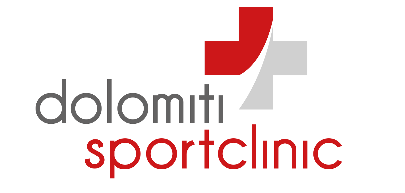 Logo DSC einfach